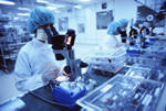 Occupational Health - photo